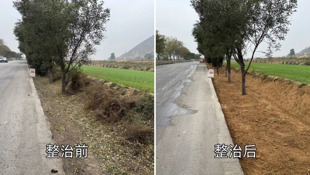 ▲路域环境整治对比图