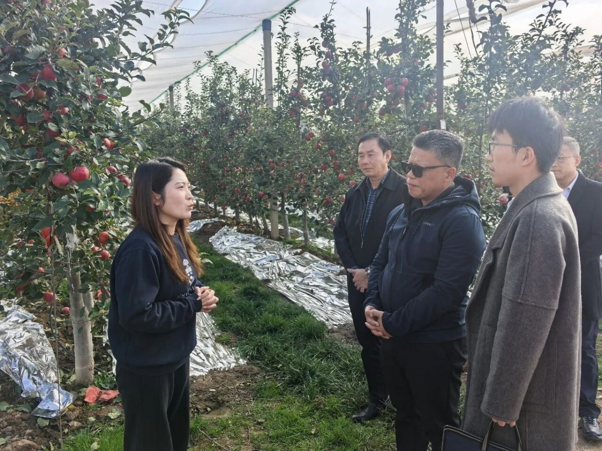 马来西亚太平市市长穆罕默德&middot;阿克马一行访问庆阳