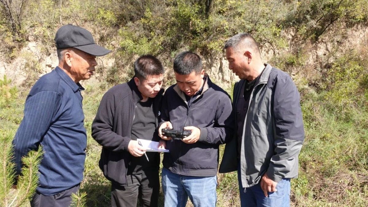 西峰区:森林抚育“加减法”推动林草生态提质增效