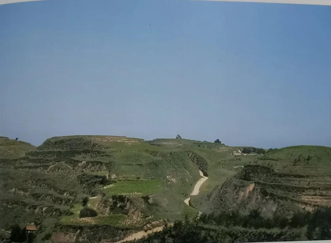 秦直道黄蒿地畔段