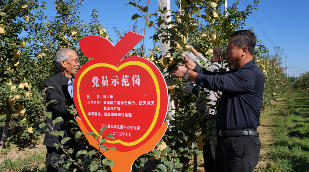 正宁县果业发展中心:党建聚力兴果业 提质增效助振兴
