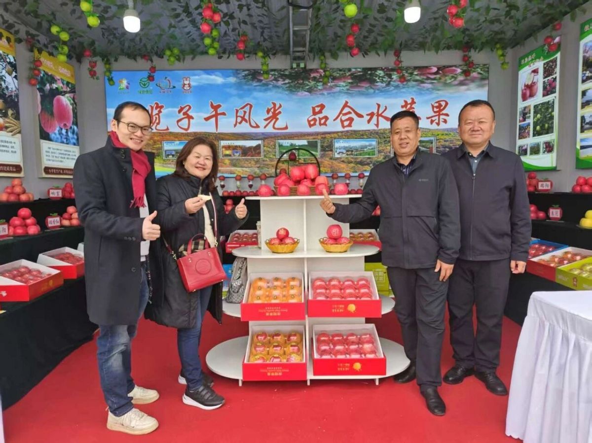 庆阳市政府外事办成功促成庆阳苹果出口马来西亚