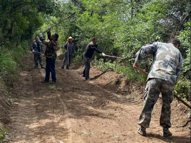 大山门林场：深耕林下治理 筑牢生态屏障