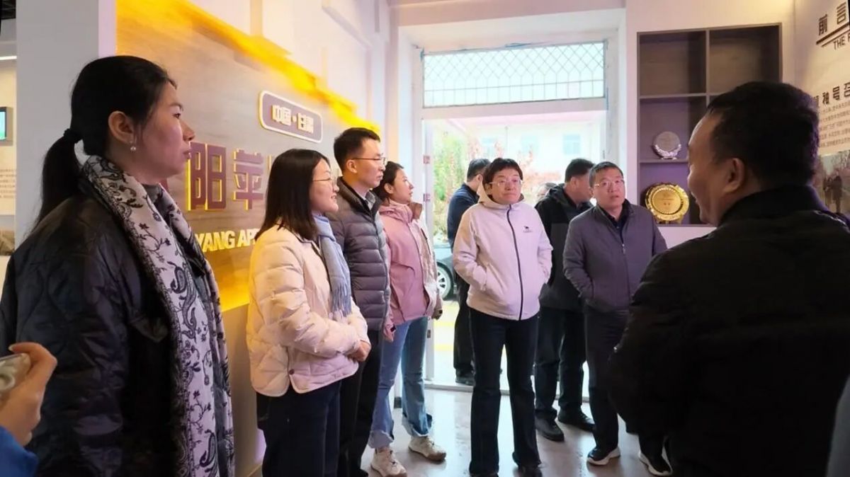 天津高层次专家甘肃行人才服务活动走进庆城