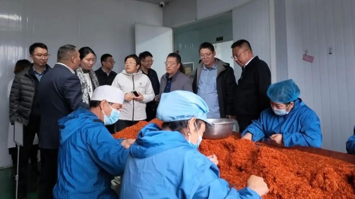 天津高层次专家甘肃行人才服务活动走进庆城