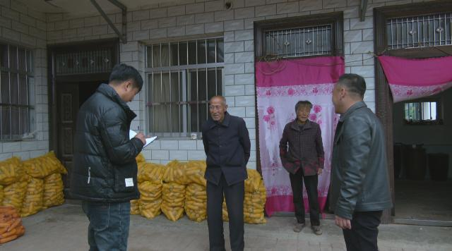 合水县段家集乡：五载实干结硕果 药果香溢惠民生