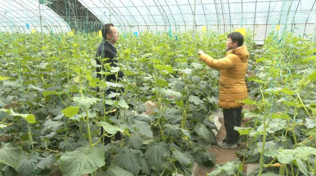 2026年“天津高层次专家甘肃行”人才服务活动走进合水县
