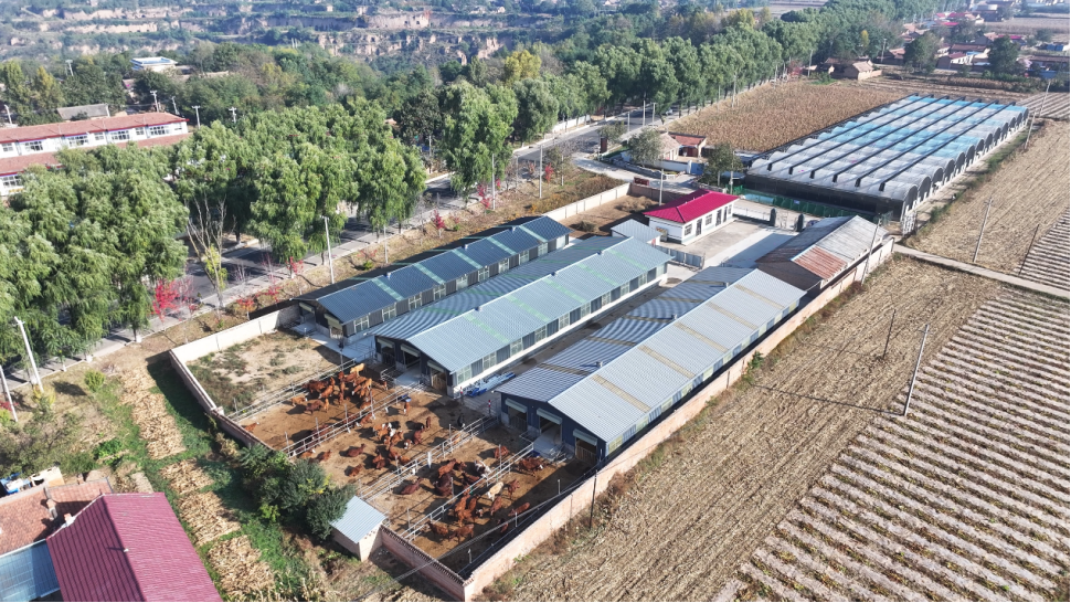 正宁县永正镇:以高质量党建激活镇域发展新动能