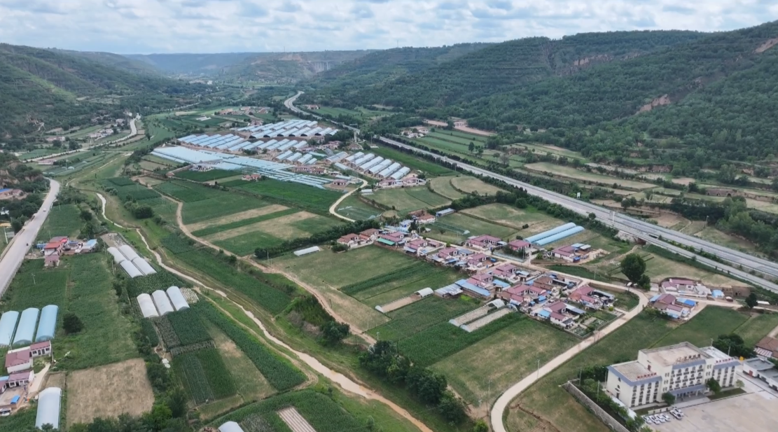 合水县板桥镇:夯实发展根基 绘就富民兴镇新图景