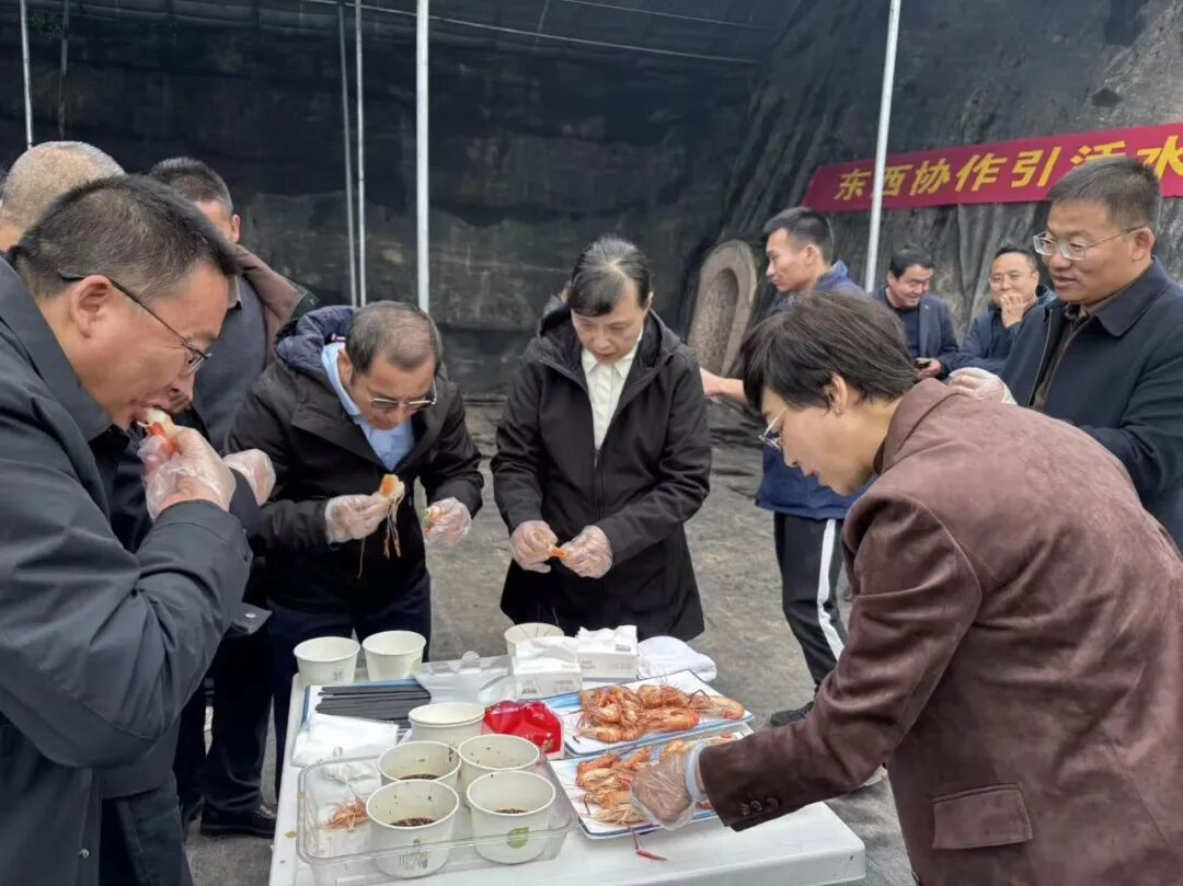 从军营到虾塘 ——三名老兵在黄土高原“种”出海鲜