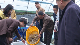 从军营到虾塘 ——三名老兵在黄土高原“种”出海鲜