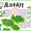 庆阳市“清风润童心·廉洁伴成长”主题手抄报作品展示
